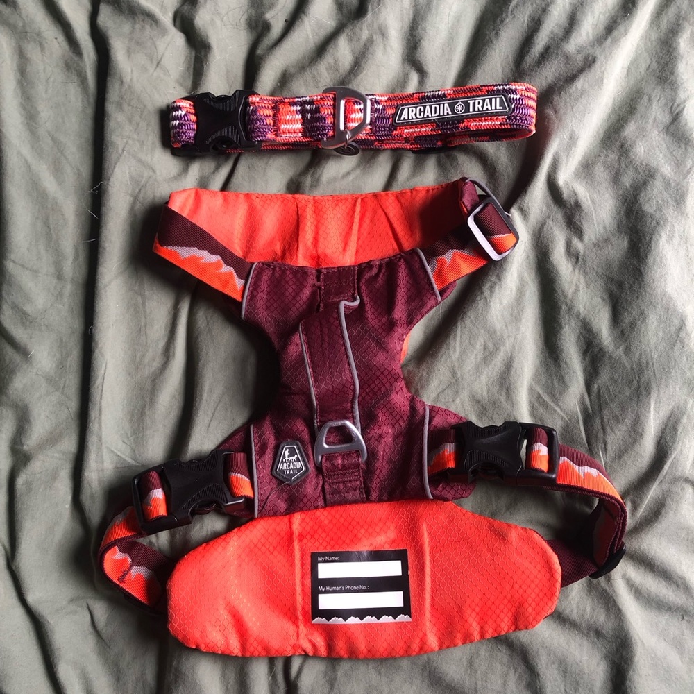 Matching collar and harness